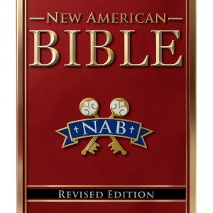 Fairbrother 3rd Edition Bible Kindle-0