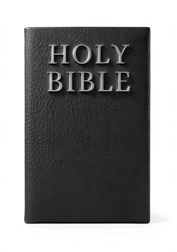 King James Bible Kindle – New King James Version, 446 Pages-0