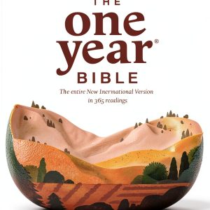 Tyndale House Publishers New International Christian Bible-0