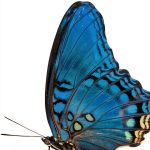 Aguilar Self‑Esteem Guide Kindle eBook Spanish Personal Development-0