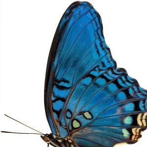 Aguilar Self‑Esteem Guide Kindle eBook Spanish Personal Development-0